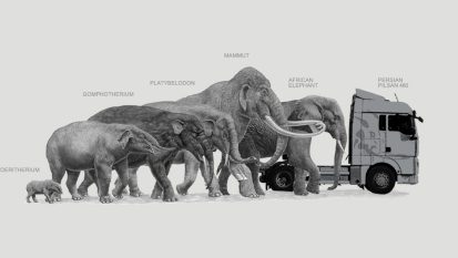 Side view illustration comparing the sizes of extinct and modern elephants with a truck for scale; labels identify each species.